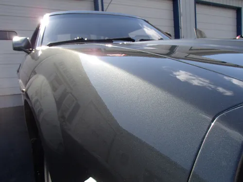 Paint Restoration